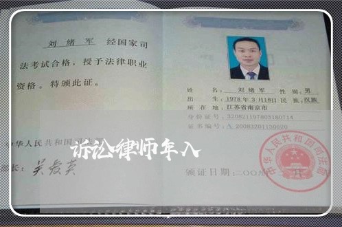 诉讼律师年入 诉讼律师年入