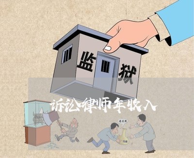 诉讼律师年收入