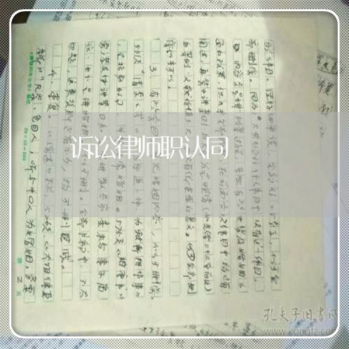 诉讼律师职认同