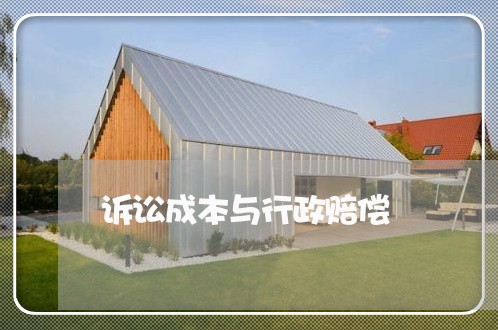 诉讼成本与行政赔偿