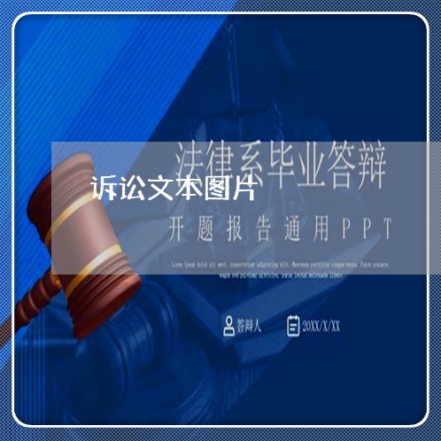 诉讼文本图片 诉讼文本图片