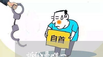 诉讼是唯一 诉讼是唯一