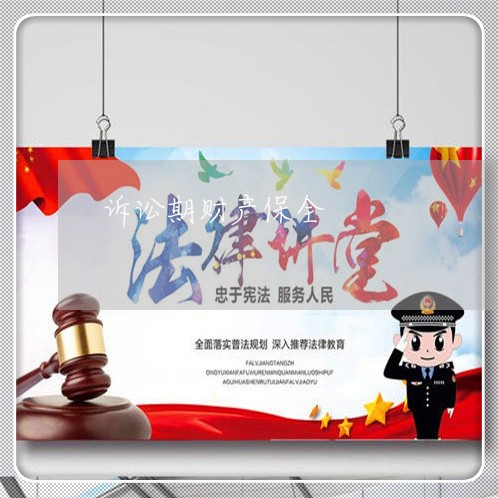 诉讼期财产保全 诉讼期财产保全