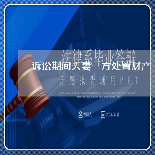 诉讼期间夫妻一方处置财产