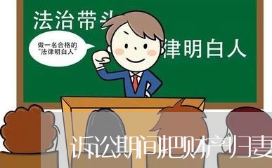 诉讼期间把财产归妻子所有