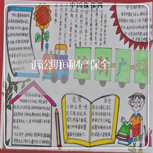 诉讼期间财产保全