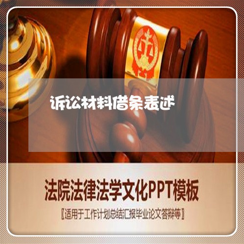 诉讼材料借条表述 诉讼材料借条表述