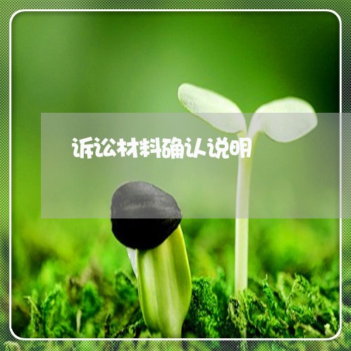 诉讼材料确认说明 诉讼材料确认说明