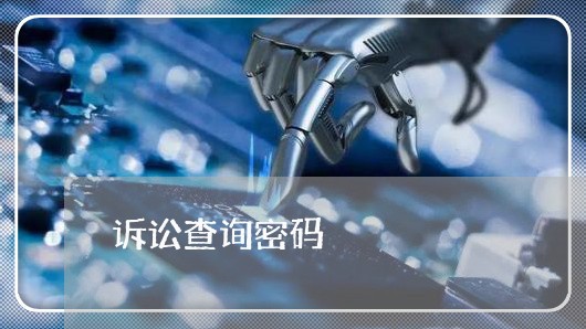 诉讼查询密码