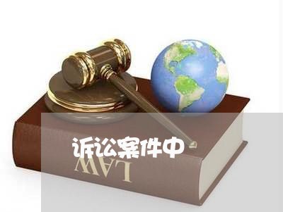 诉讼案件中 诉讼案件中
