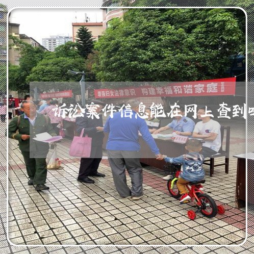 诉讼案件信息能在网上查到吗 诉讼案件信息能在网上查到吗