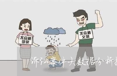 诉讼案件大数据分析报告
