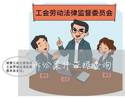 诉讼案件证据查询 诉讼案件证据查询
