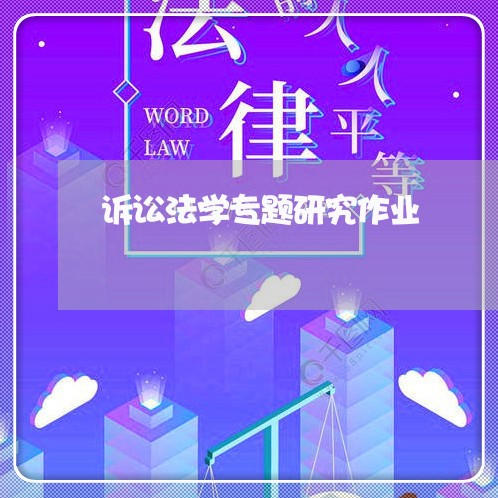 诉讼法学专题研究作业