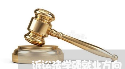 诉讼法学硕就业方向