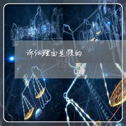 诉讼理由是假的