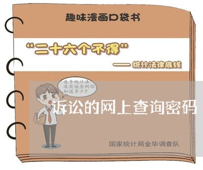 诉讼的网上查询密码