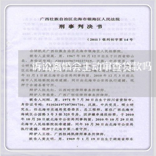 诉讼离婚会主动审查贷款吗