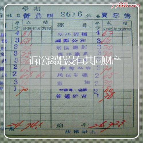 诉讼离婚没有共同财产
