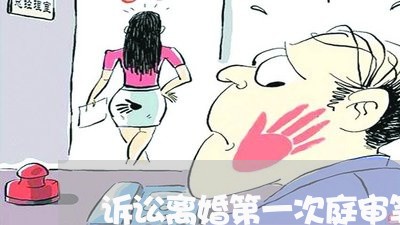 诉讼离婚第一次庭审笔录