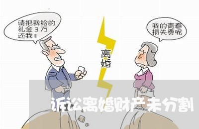 诉讼离婚财产未分割