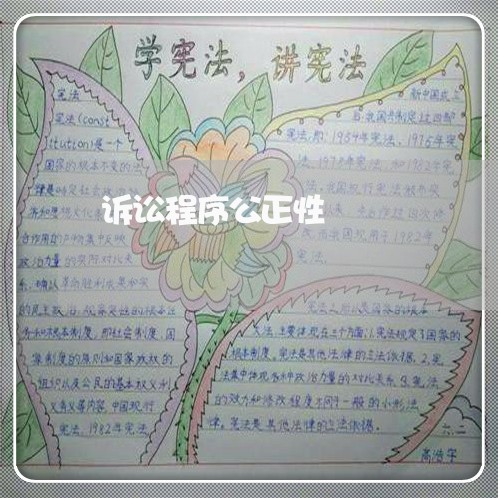 诉讼程序公正性 诉讼程序公正性