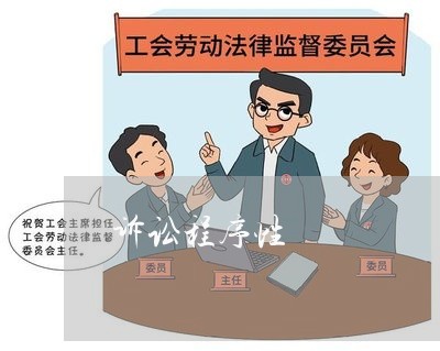 诉讼程序性 诉讼程序性