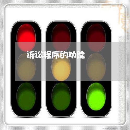 诉讼程序的功能