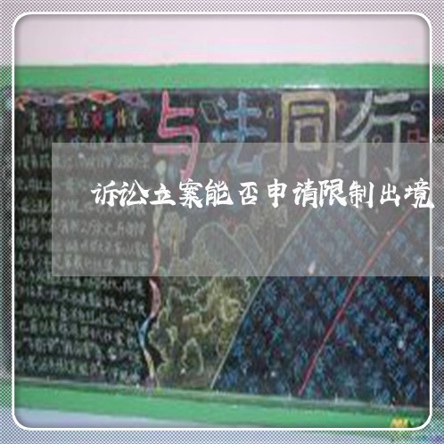 诉讼立案能否申请限制出境 诉讼立案能否申请限制出境