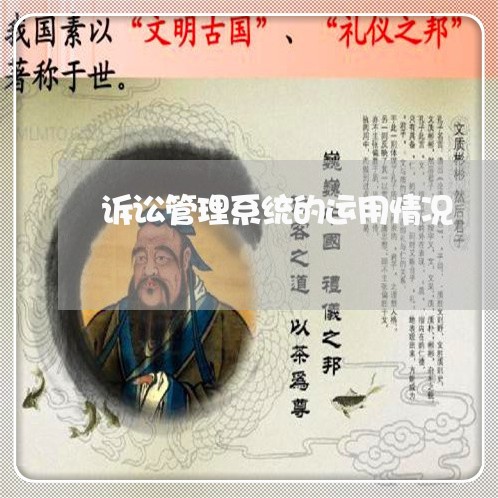 诉讼管理系统的运用情况