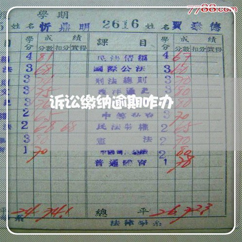 诉讼缴纳逾期咋办
