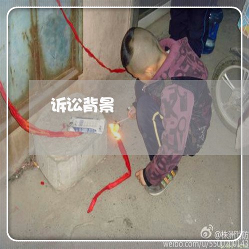 诉讼背景 诉讼背景