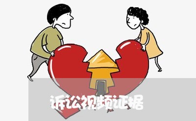 诉讼视频证据 诉讼视频证据