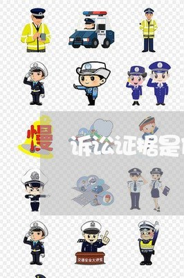 诉讼证据是什么意思 诉讼证据是什么意思