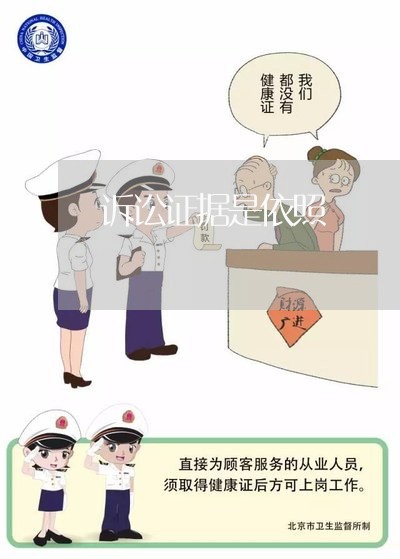 诉讼证据是依照 诉讼证据是依照