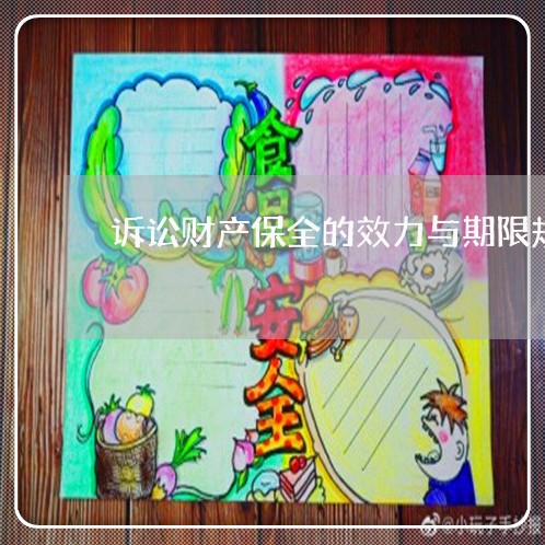 诉讼财产保全的效力与期限规定 诉讼财产保全的效力与期限规定