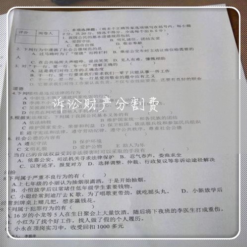 诉讼财产分割费 诉讼财产分割费