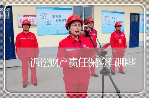 诉讼财产责任保险有哪些