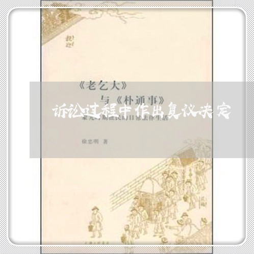 诉讼过程中作出复议决定