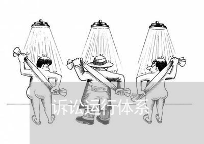 诉讼运行体系