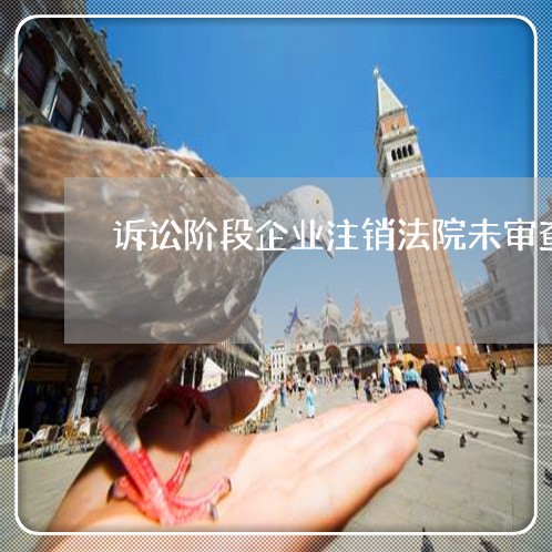 诉讼阶段企业注销法院未审查 诉讼阶段企业注销法院未审查
