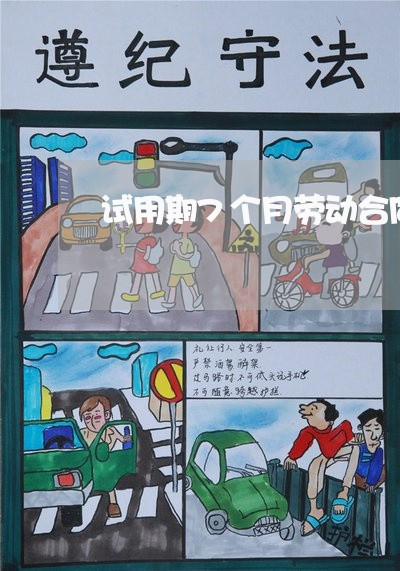 试用期7个月劳动合同怎么写/2023061650393