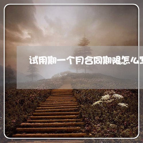 试用期一个月合同期限怎么写/2023061604836