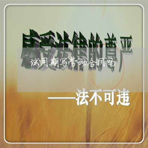 试用期写劳动合同吗/2023041585026