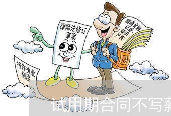 试用期合同不写薪资/2023041084835 试用期合同不写薪资/2023041084835
