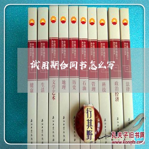 试用期合同书怎么写/2023042224937