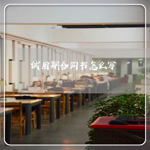 试用期合同书怎么写/2023042273946