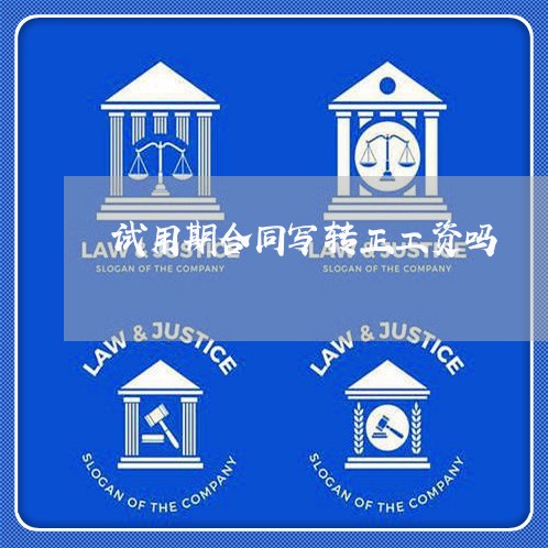 试用期合同写转正工资吗/2023041321482