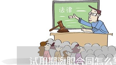 试用期离职合同怎么写/2023011716260 试用期离职合同怎么写/2023011716260