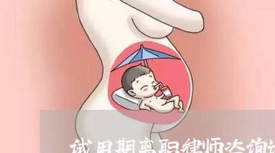 试用期离职律师咨询谁的问题/2023060486036